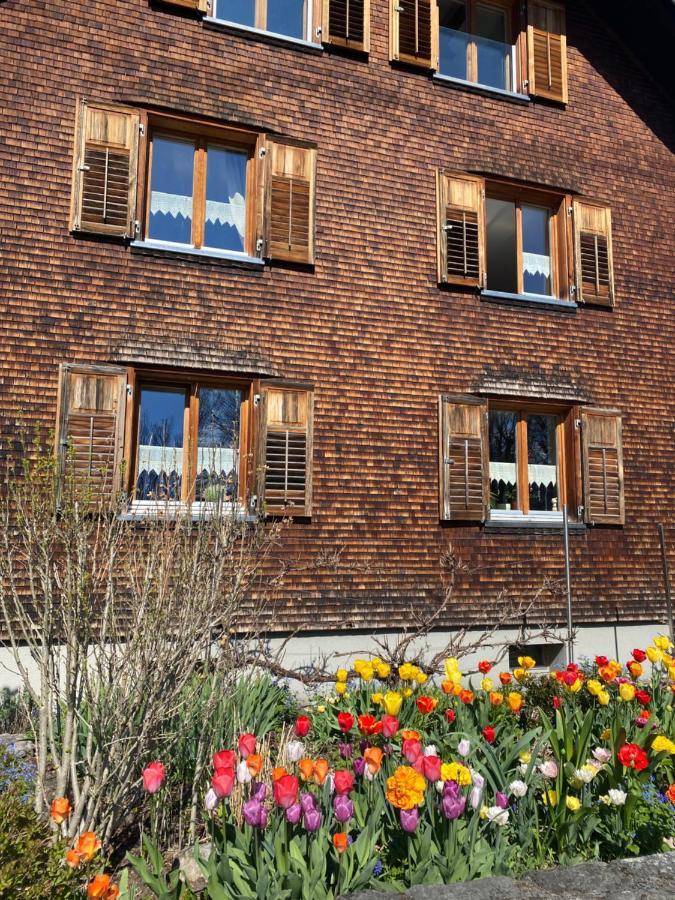 Mama Kaethe - Apartments Nenzing Exterior photo